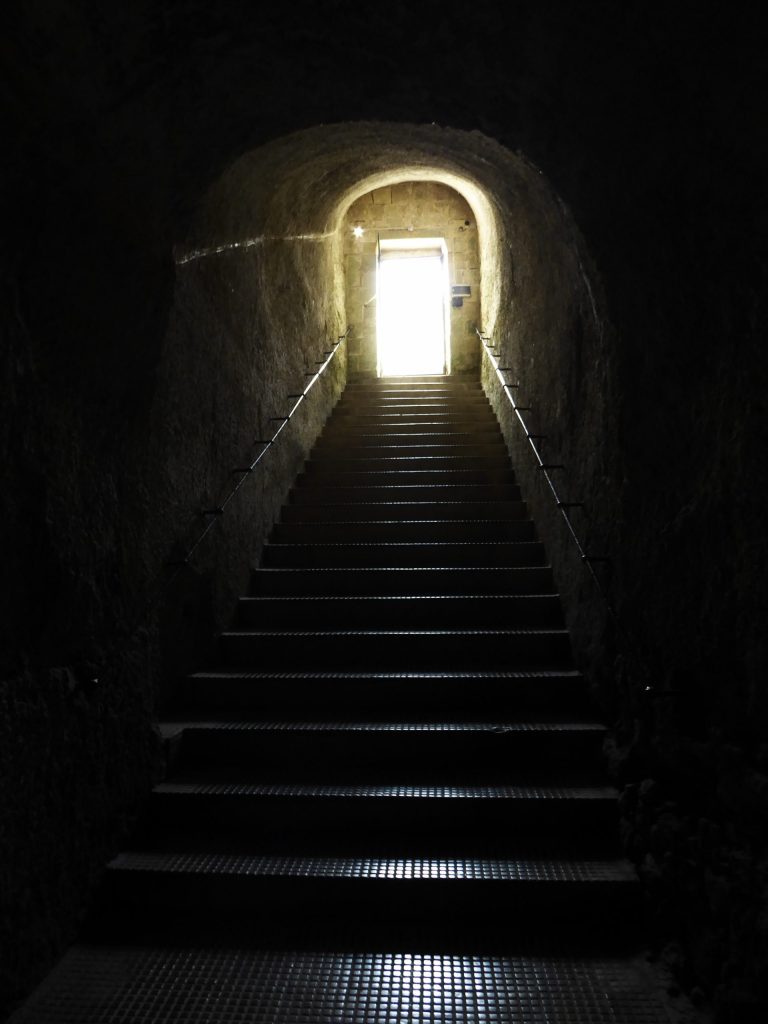 Steps and perspectives